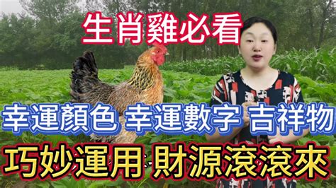 雞 顏色|屬雞必看：幸運色改變你命運